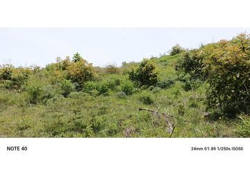 vendo finca productiva san vicente Ferrer Antioquia 93,4 hectareas