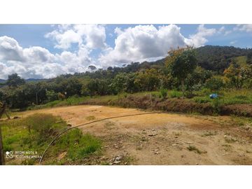 vendo finca productiva san vicente Ferrer Antioquia 93,4 hectareas
