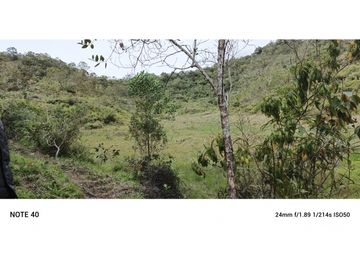 vendo finca productiva san vicente Ferrer Antioquia 93,4 hectareas