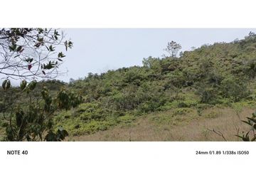 vendo finca productiva san vicente Ferrer Antioquia 93,4 hectareas