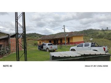 vendo finca productiva san vicente Ferrer Antioquia 93,4 hectareas