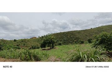 vendo finca productiva san vicente Ferrer Antioquia 93,4 hectareas