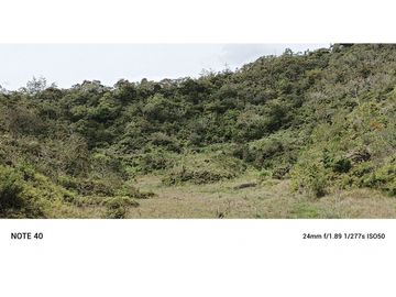 vendo finca productiva san vicente Ferrer Antioquia 93,4 hectareas