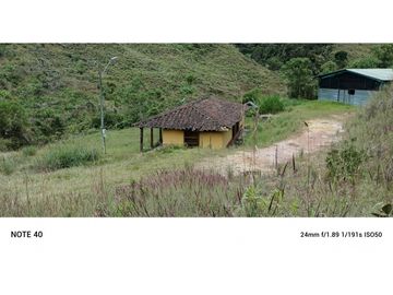 vendo finca productiva san vicente Ferrer Antioquia 93,4 hectareas