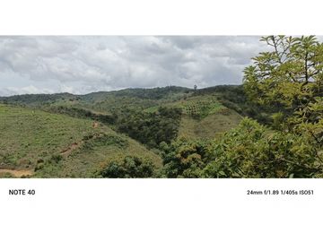 vendo finca productiva san vicente Ferrer Antioquia 93,4 hectareas