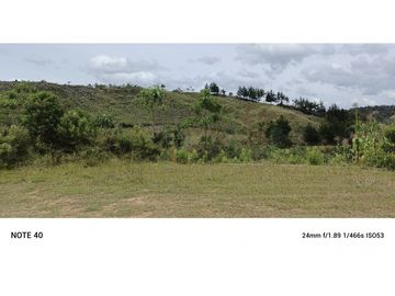 vendo finca productiva san vicente Ferrer Antioquia 93,4 hectareas