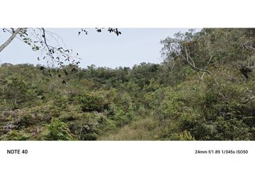vendo finca productiva san vicente Ferrer Antioquia 93,4 hectareas