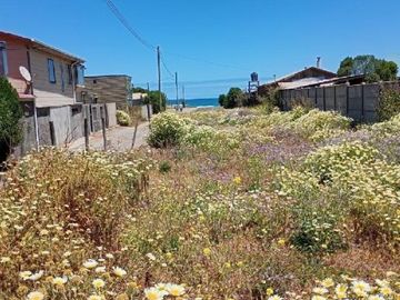 Sitio a pasos de la Playa, Rancura