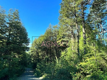 Sitio en Venta en Ruta CH203. Quebrada Honda