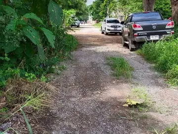 Land for sale in Chakkarat, Nakhon Ratchasima