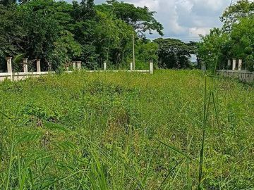 Land for sale in Chakkarat, Nakhon Ratchasima