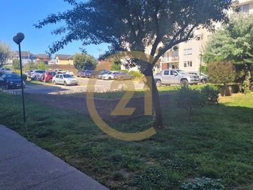 Rebajado Departamento Venta en Curauma