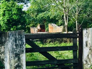 Hacienda en Cansahcab, Yucatán, en venta