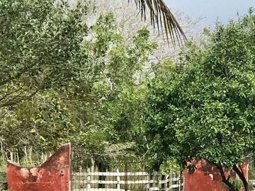 Hacienda en Cansahcab, Yucatán, en venta