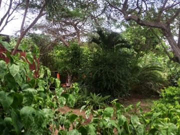 Finca en Venta - Zona norte