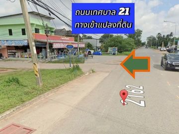 Land for sale in Chakkarat, Nakhon Ratchasima