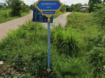 Land for sale in Chakkarat, Nakhon Ratchasima
