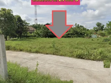 Land for sale in Chakkarat, Nakhon Ratchasima