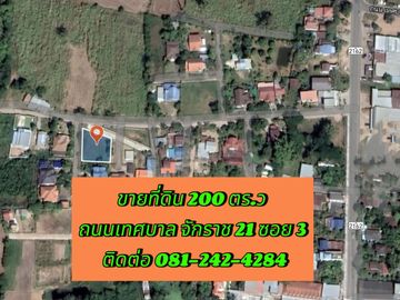 Land for sale in Chakkarat, Nakhon Ratchasima