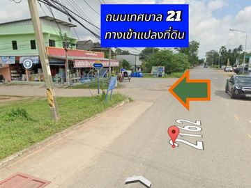 Land for sale in Chakkarat, Nakhon Ratchasima