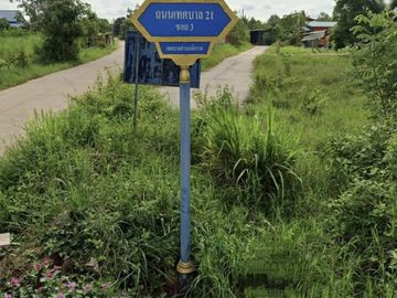 Land for sale in Chakkarat, Nakhon Ratchasima