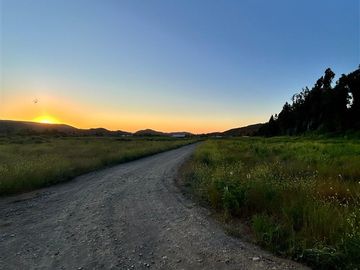 Parcela en Venta en La Montaña de teno