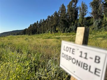 Parcela en Venta en La Montaña de teno