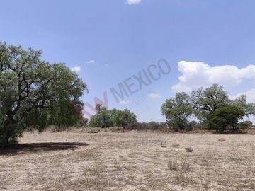 130,000m2 atrás de casas Quma, Tizayuca. Para desarrollo habitacional, industrial o comercial.