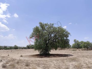 130,000m2 atrás de casas Quma, Tizayuca. Para desarrollo habitacional, industrial o comercial.