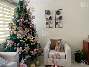 DEPARTAMENTO EN VENTA SECTOR NARANCAY