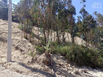 TERRENO EN VENTA SECTOR VICTORIA DEL PORTETE