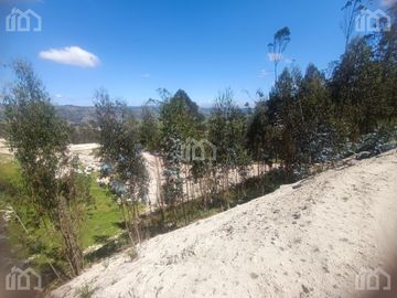 TERRENO EN VENTA SECTOR VICTORIA DEL PORTETE