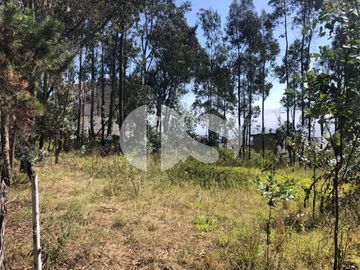 VENTA DE TERRENO IDEAL PARA PROYECTO  EN CUMBAYÁ SECTOR   SAN JUAN