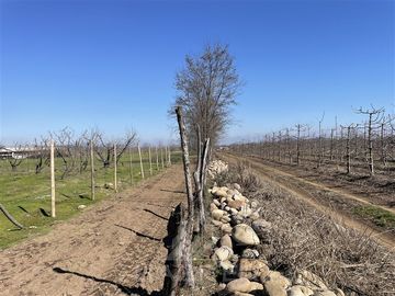 Agrícola en Venta en PARCELA N° 69 DEL PROYECTO DE PARCELACION SECTOR GUAICO UNO