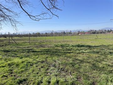 Agrícola en Venta en PARCELA N° 69 DEL PROYECTO DE PARCELACION SECTOR GUAICO UNO