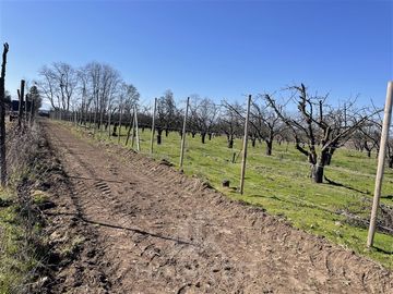 Parcela en Venta en PARCELA N° 69 DEL PROYECTO DE PARCELACION SECTOR GUAICO UNO