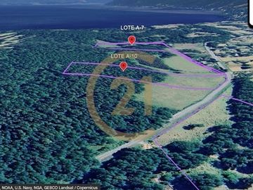 LOTE 2,68 HÁS, EXCELENTE UBICACIÓN, CABURGUA BAJO