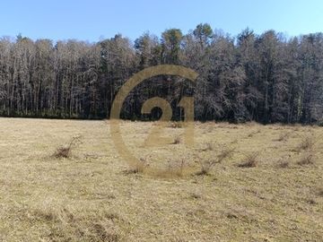 LOTE 2,68 HÁS, EXCELENTE UBICACIÓN, CABURGUA BAJO
