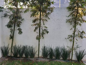 CASA RUBEN NAVARRO FRAC. PARAISO AZUL, ZAMORA MICHOACAN