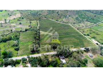 Macrolote en Olón, Santa Elena