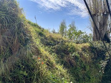 Terreno Construccion  en Venta en Borgoño escalera el Prado