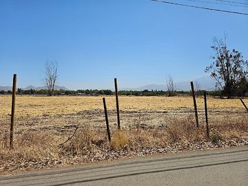 PALO ALTO