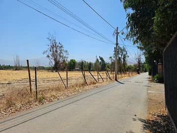 PALO ALTO