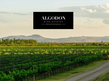 Lot I18 – Algodón Wine Estates