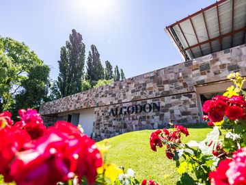 Lot I18 – Algodón Wine Estates