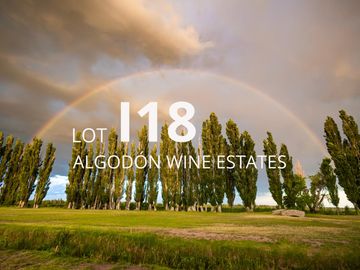 Lot I18 – Algodón Wine Estates