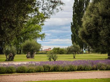 Lot I18 – Algodón Wine Estates