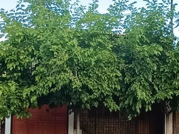 Casa en  Venta en Guaymallén
