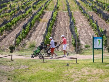 Lot K4 – Algodón Wine Estates