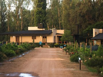Lot K4 – Algodón Wine Estates